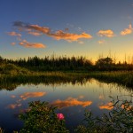 Samsung Galaxy S8 Camera Quality Rumors